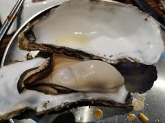 -蚝堡海鲜·威海菜·海肠捞饭·烧烤·亚洲吃蚝公司(幸福门店)