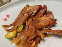 -九朝会昆曲·宴(望京店)