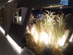 -碧涛阁水世界酒店(万家丽路店)