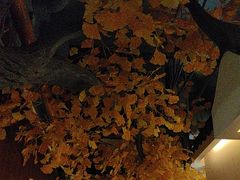 -食悦江南·淮扬菜·烤鸭(亚运村·惠新店)