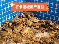 -乔哥铭洋海鲜自助(皇城恒隆广场店)