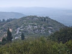 -长虫山生态公园风景林