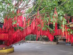 -西双版纳勐泐文化旅游区