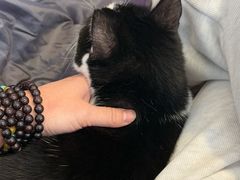 -路易时光(蕴川路店)