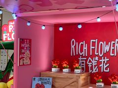 -合景·悠方(成都店)
