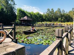 -溱湖国家湿地公园