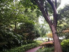 -南翔镇银翔湖公园