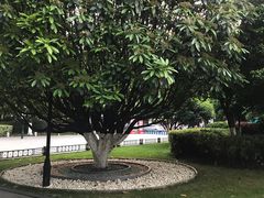 -常州古运河南大街文化旅游区-人民公园