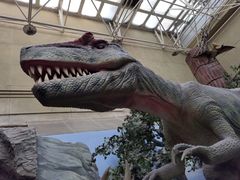 -国家自然博物馆