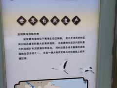 -盐城丹顶鹤湿地生态旅游区