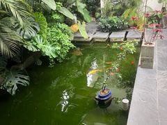 -漫笙舍Manse·咖啡·民宿