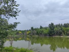 -绿堤公园
