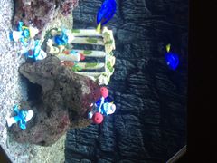 -北戴河圣蓝海洋公园