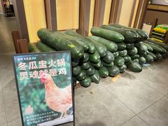 -翟辉冬瓜盅火锅(南村万博店)