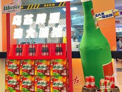 -圣爵菲斯大酒店(长沙世界之窗店)