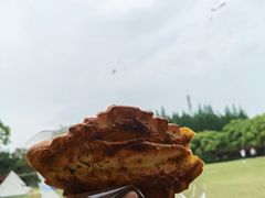 -上海滨江森林公园
