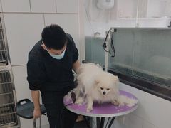 -中农国际动物医院24小时·猫科·骨科·急重症中心