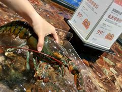 波士顿龙虾-盒马鲜生(皇庭广场店)