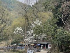 -五泄景区