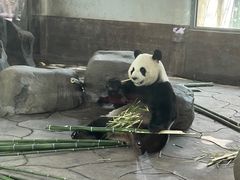 -宁波野生动物园
