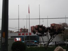 -真快乐APP体验中心(西坝河店)