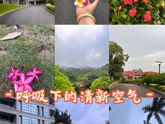 -厦门国家会计学院