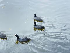 -沈阳森林动物园