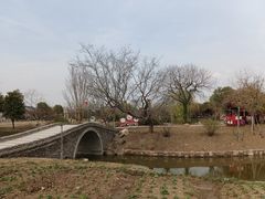 -鹅湖玫瑰文化园