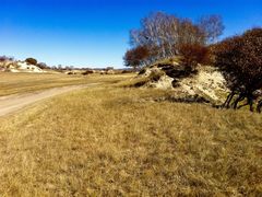 -塞罕坝国家级自然保护区