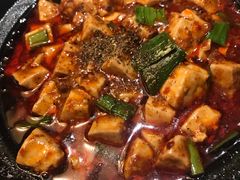 -陈麻婆豆腐总店