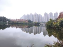 -成都南湖公园
