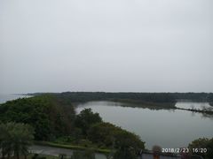 -大湾区中央湿地公园
