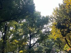 -申粤轩酒楼·三十年粤菜经典(丁香花园店)