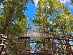 -东平国家森林公园