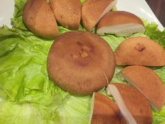 -蝎王府羊蝎子(北大地店)