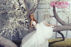 -施华洛婚纱摄影会所(范阳中路店)