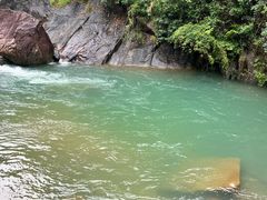 -广州白江湖森林公园