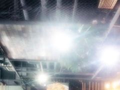 -琥珀老六龙虾(四里河店)