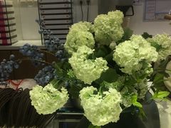 -好一朵茉莉花(老门东店)