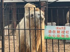 -保定市动物园