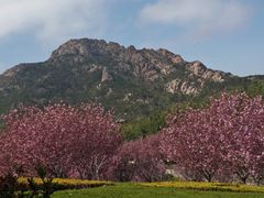 -石岛赤山风景区