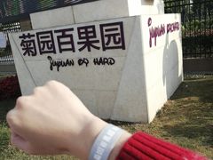 门面-菊园百果园