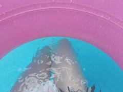 -热带风暴水上乐园(新镇路)