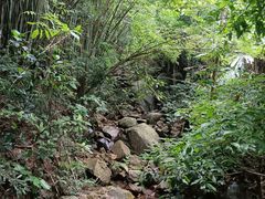 -梧桐山风景名胜区