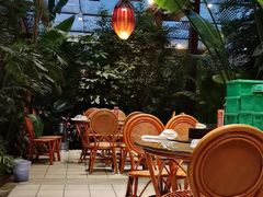 -春满园生态餐厅(南宫路店)