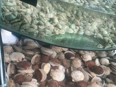 -蓝珊甄选海鲜自助·火锅大排档(近阿那亚店)
