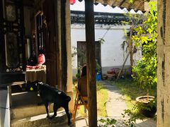 -小雅青年旅舍(平江路店)