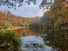 -灵谷景区