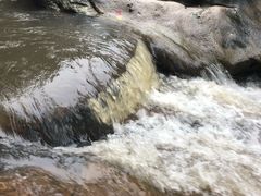 -呀诺达热带雨林