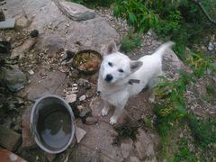 android_upload_pic-山文星辉影城(济南和谐广场店)